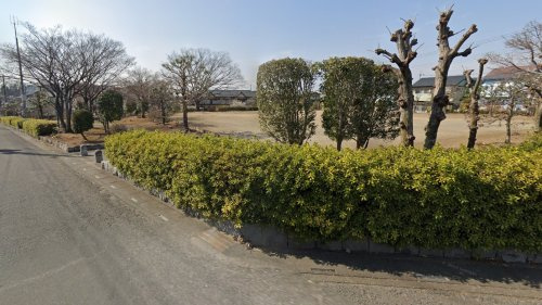 の画像
