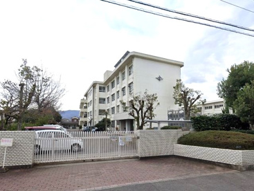 八坂小学校の画像1