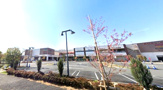 ザ・ダイソー アメリア町田根岸ショッピングセンター店