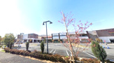 くまざわ書店 町田根岸店
