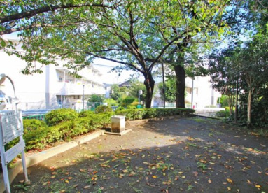 富士見丘東緑地の画像1