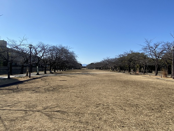 宝野公園