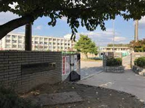 青和小