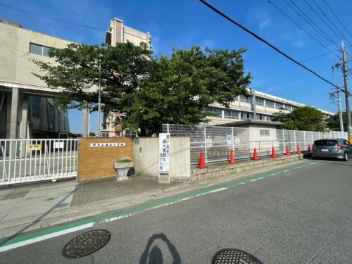 の画像