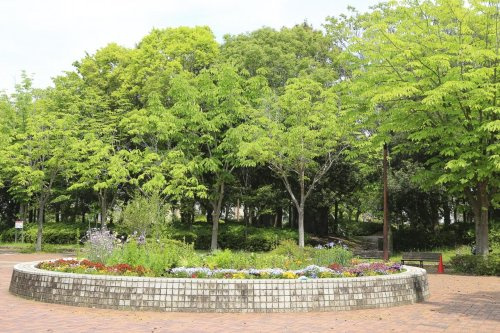 おゆみ野なつのみち公園の画像