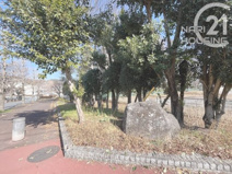 草花公園