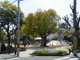 福住公園の画像