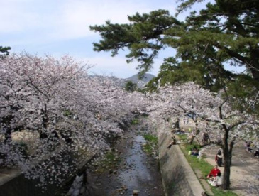 夙川河川敷緑地(夙川公園)の画像1