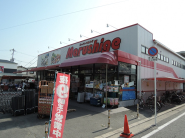 マルシゲ島之内店の画像1