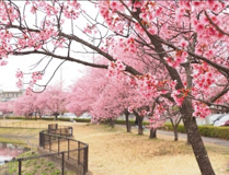 なかまる公園