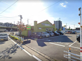 サイゼリヤ 岡崎井田店