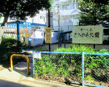 公園 中野区立もみの木公園