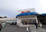 ave(エイビイ) 衣笠店