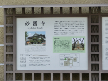 妙国寺の画像2