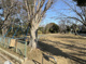 青山台北公園の画像