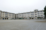 習志野市立鷺沼小学校