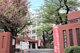 女子栄養大学 駒込キャンパスの画像