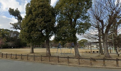 の画像