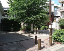 中野区立 くるみ公園
