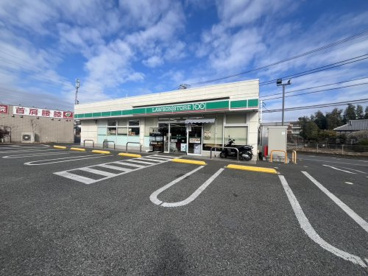ローソンストア100 練馬南大泉五丁目店の画像1