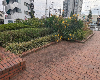 花壇公園の画像1
