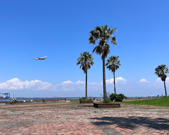 みなと広場の画像1