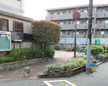 中野区立みすみ公園