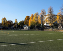 南台いちょう公園 運動広場ゾーン