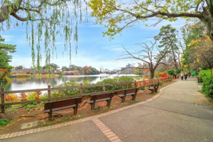 洗足池公園の画像