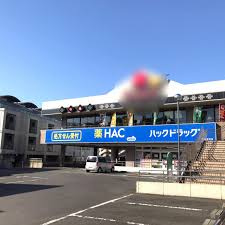 ハックドラッグ緑園都市店