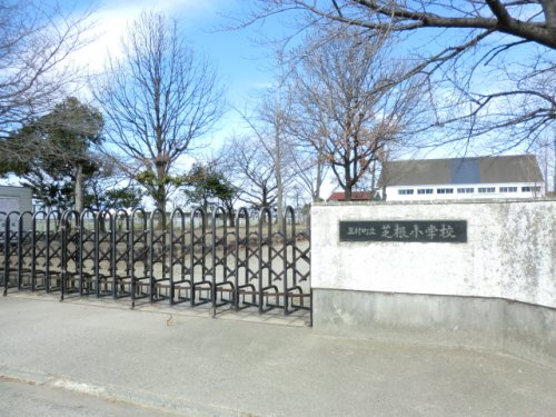 玉村町立芝根小学校の画像