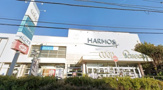 ザ・ダイソー DAISO ハーモス座間店