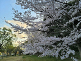 春日台公園