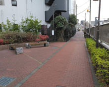 中野区立弥生ポケットパーク