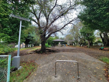 柄沢公園の画像1