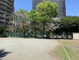 石上公園