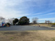 唐沢公園の画像