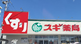 スギ薬局　鹿沼台店