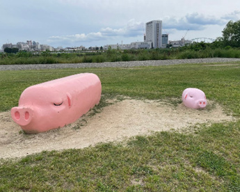 多摩川河川敷ブタ公園の画像1