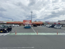 ザ・ビッグ蒲原店