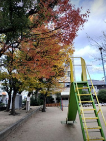 新阪南公園の画像1