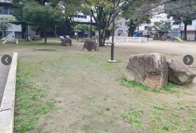 阪南中公園の画像1