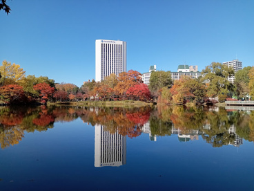中島公園の画像1