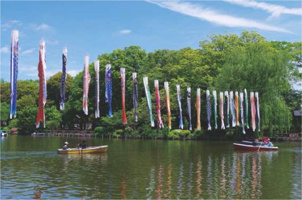 善福寺公園の画像