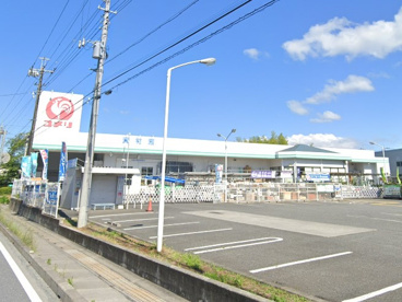 コメリハード&グリーン寄居店の画像1