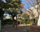 松庵三丁目公園の画像