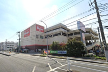 島忠 ホームズ港北高田店