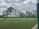 小石川運動場の画像
