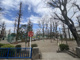 竹早公園の画像
