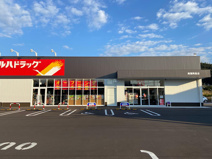 ツルハドラッグ南国岡豊店